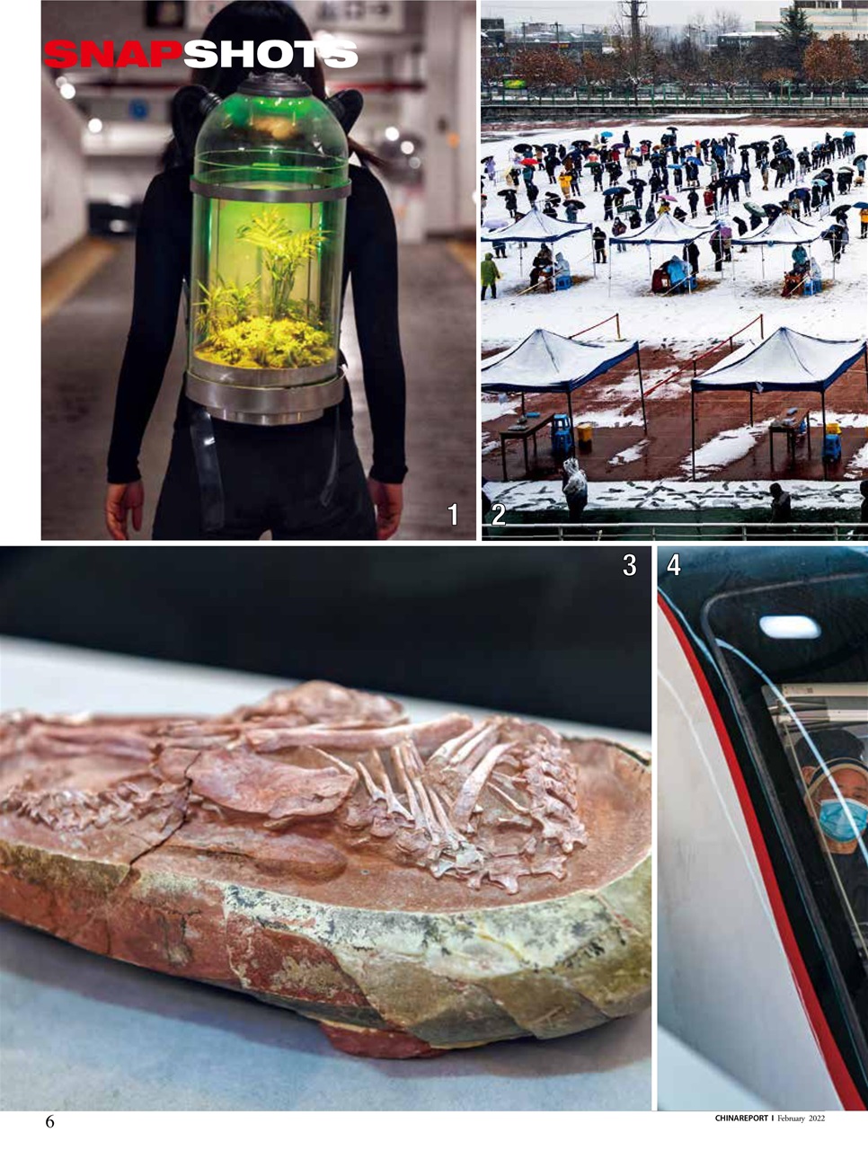 China Report Preview Pages