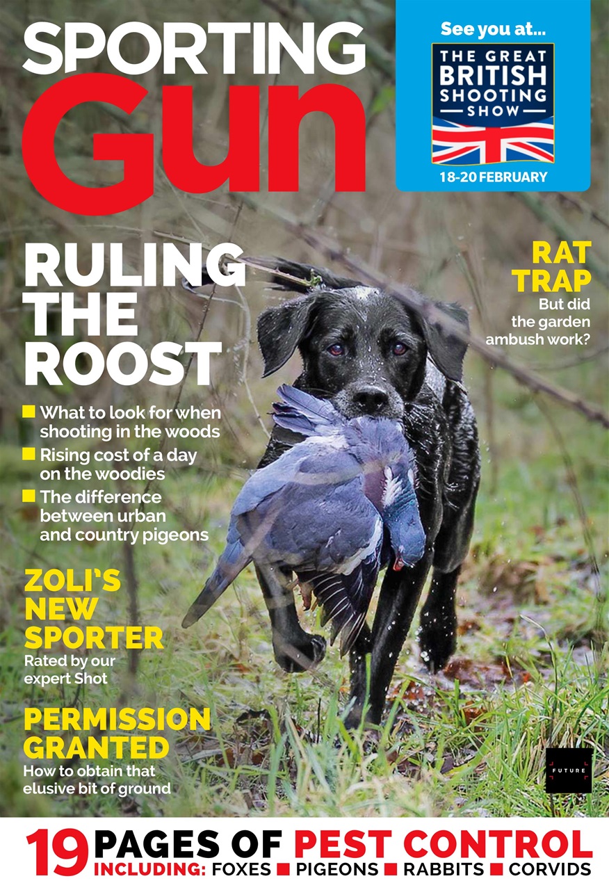 Sporting Gun Preview Pages