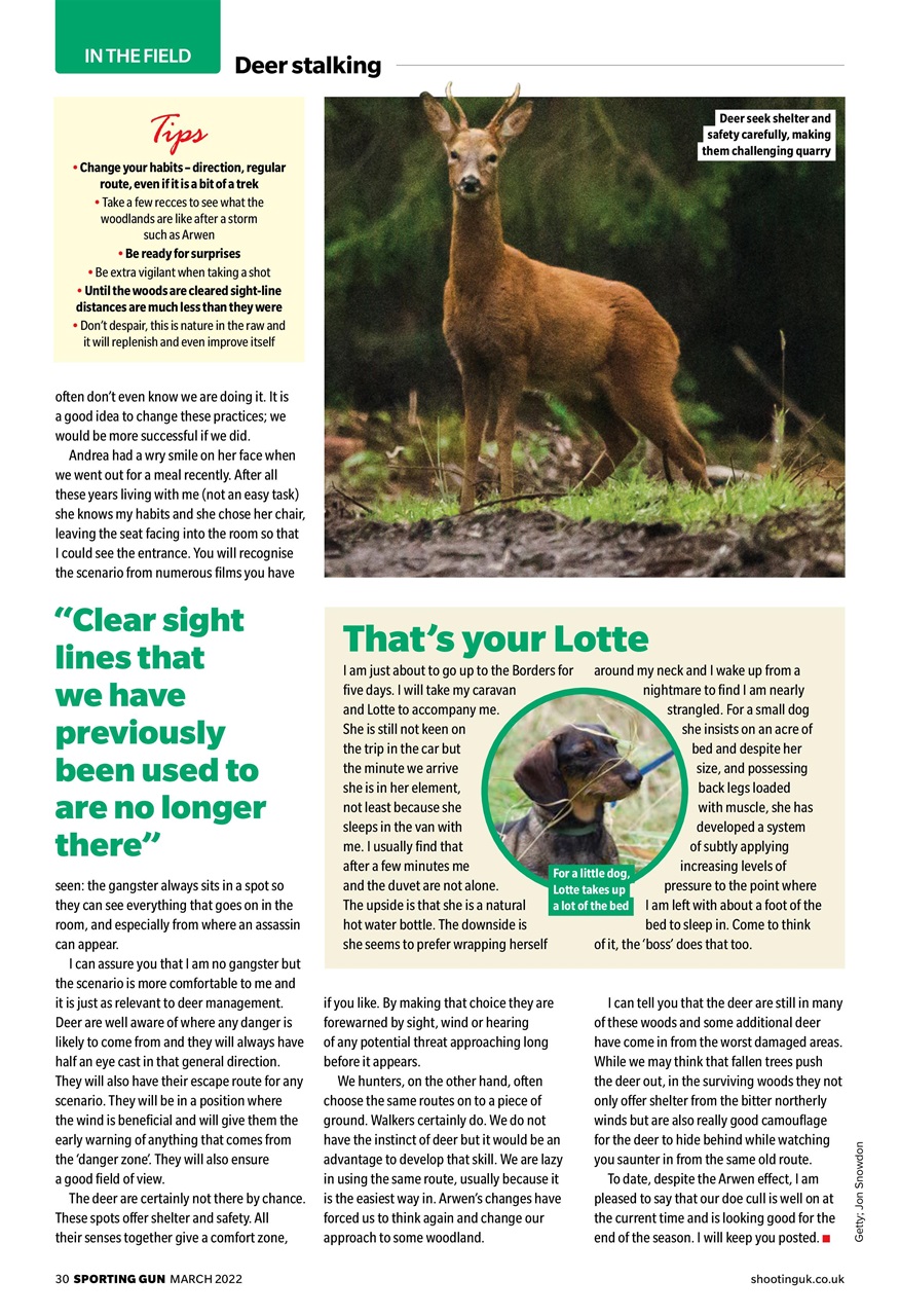 Sporting Gun Preview Pages