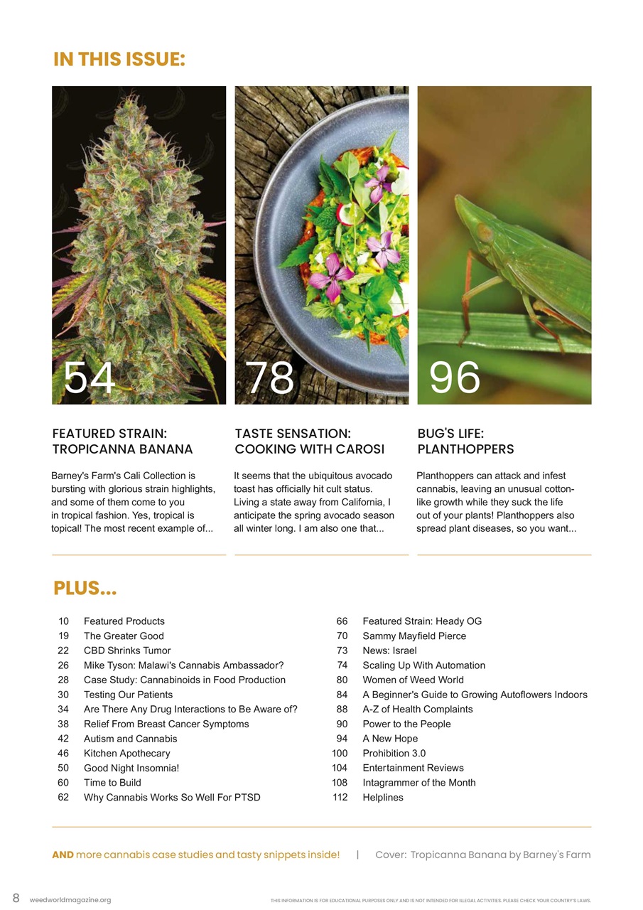 Weed World Preview Pages