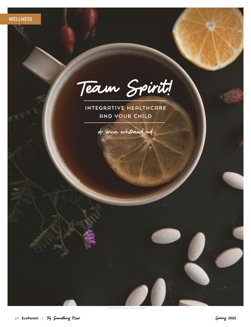 Ecoparent Magazine Preview Pages