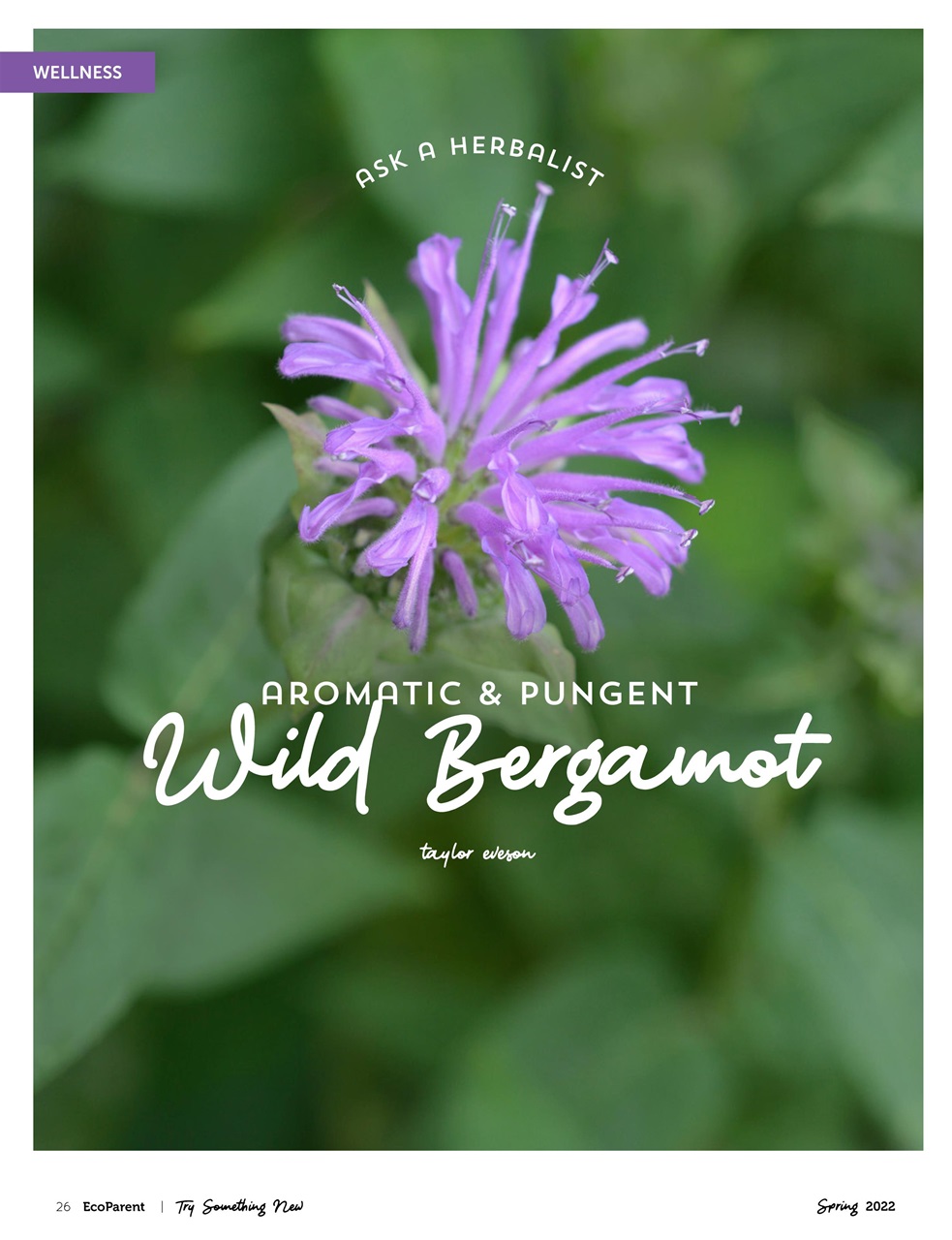 Ecoparent Magazine Preview Pages