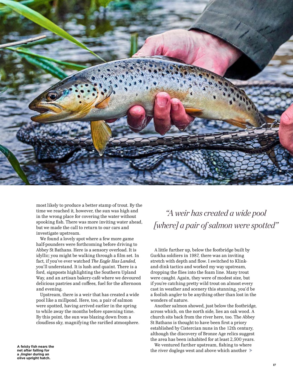 Trout & Salmon Preview Pages