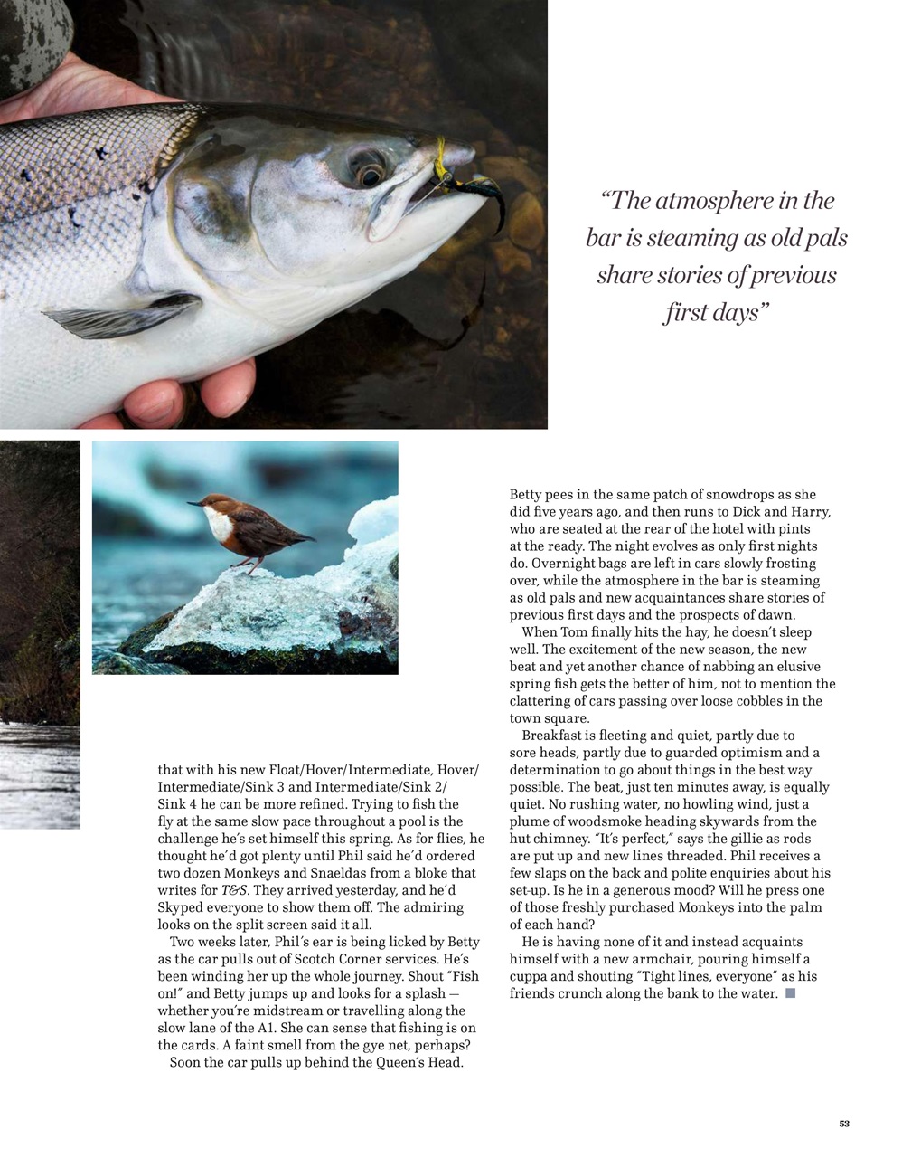 Trout & Salmon Preview Pages