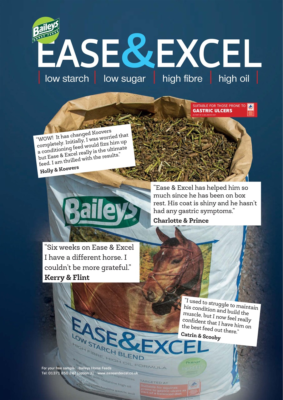 Your Horse Preview Pages