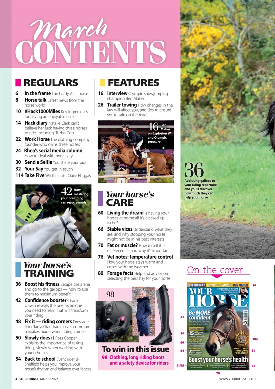 Your Horse Preview Pages