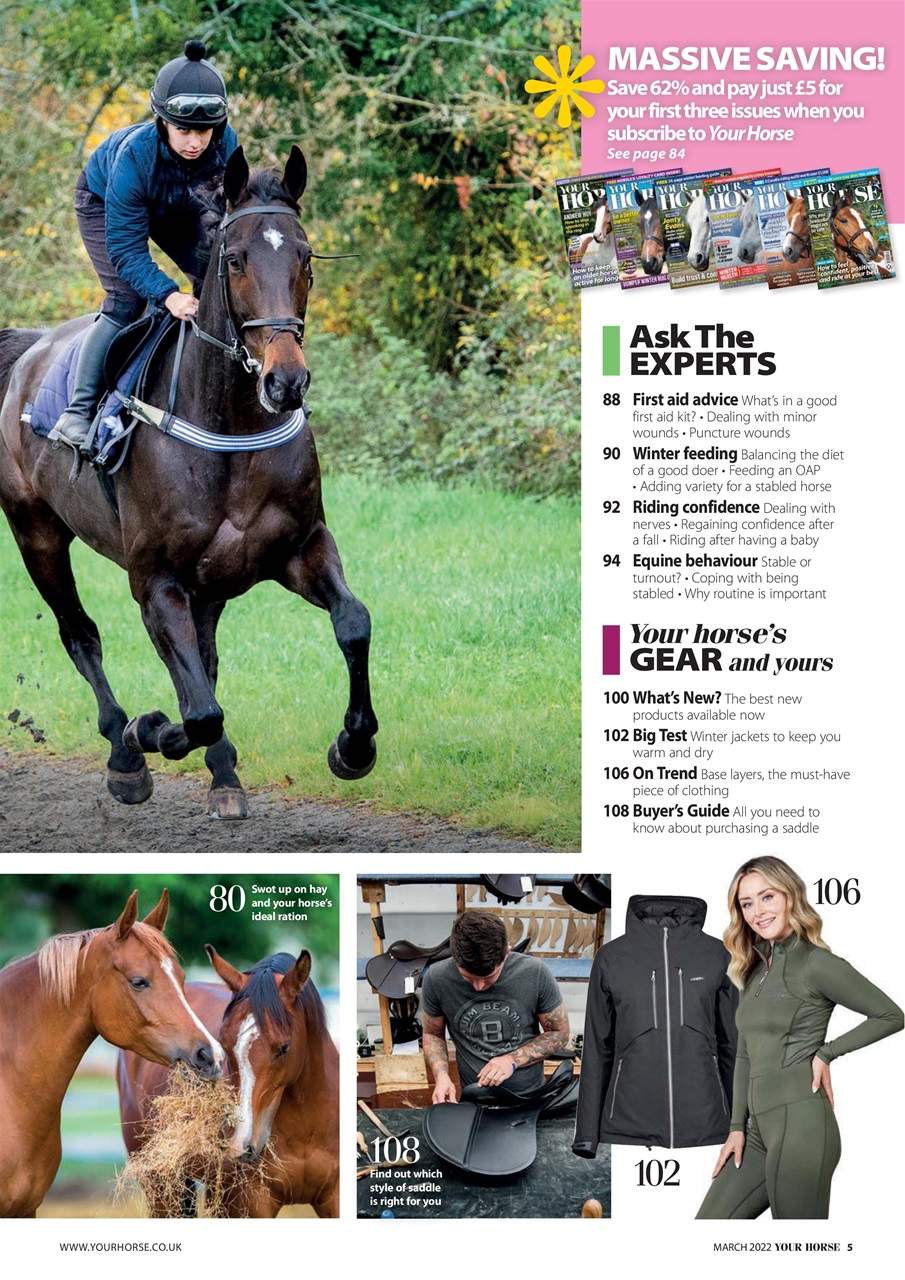 Your Horse Preview Pages