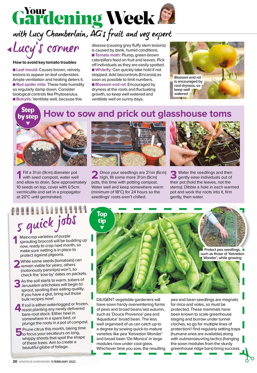 Amateur Gardening Preview Pages