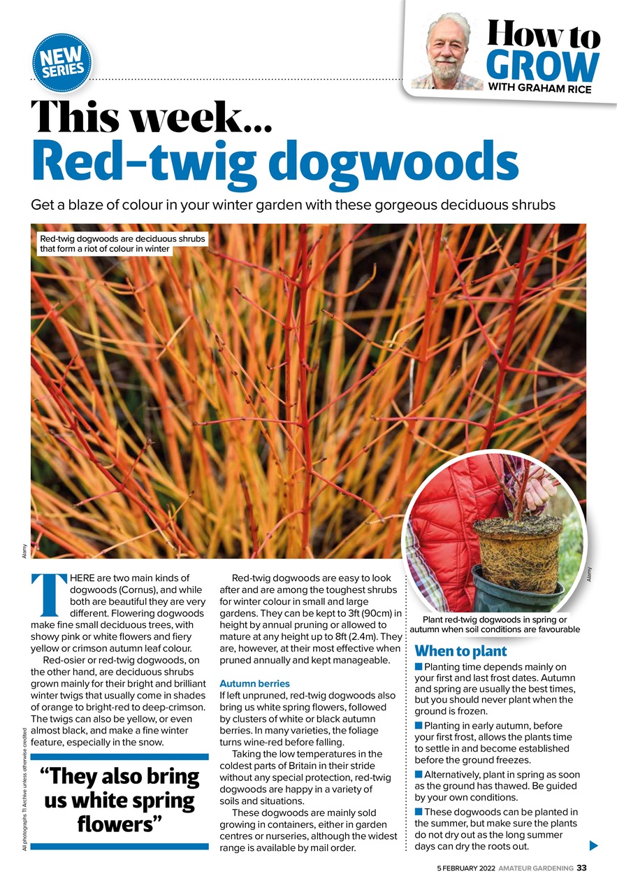 Amateur Gardening Preview Pages