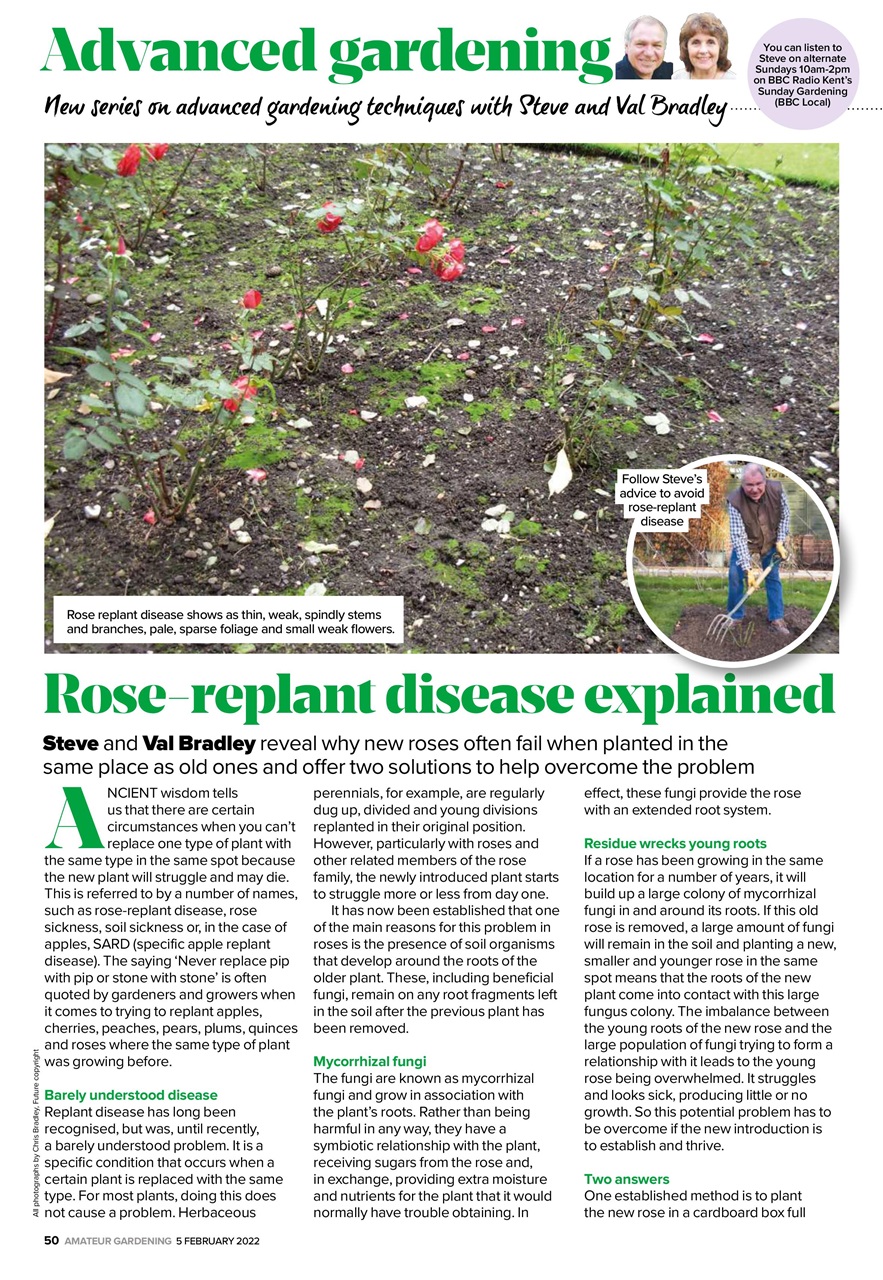 Amateur Gardening Preview Pages