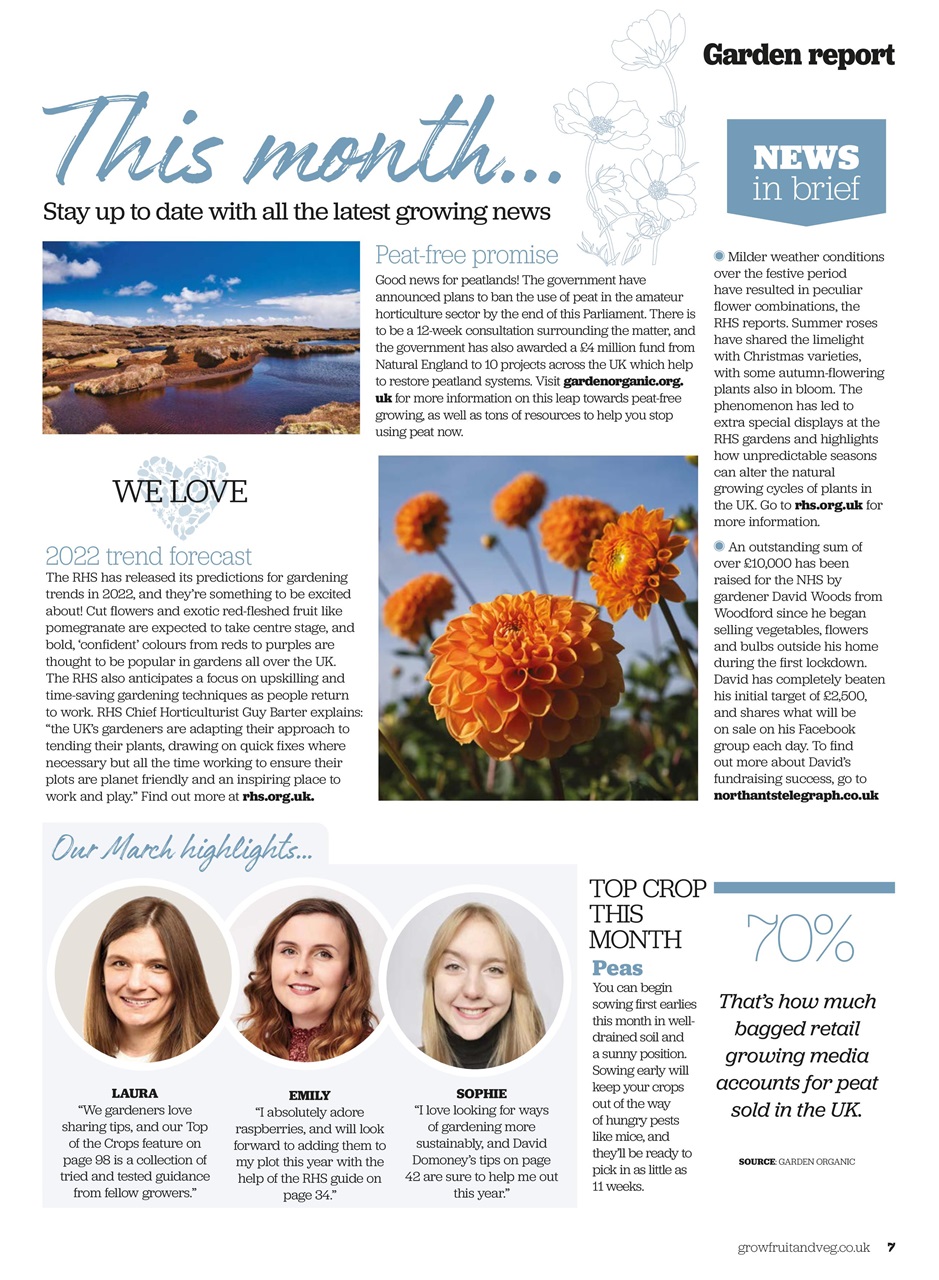 Grow Your Own Preview Pages