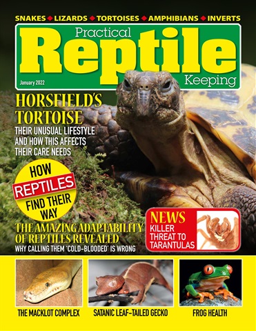 Practical Reptile Keeping issue January 2022