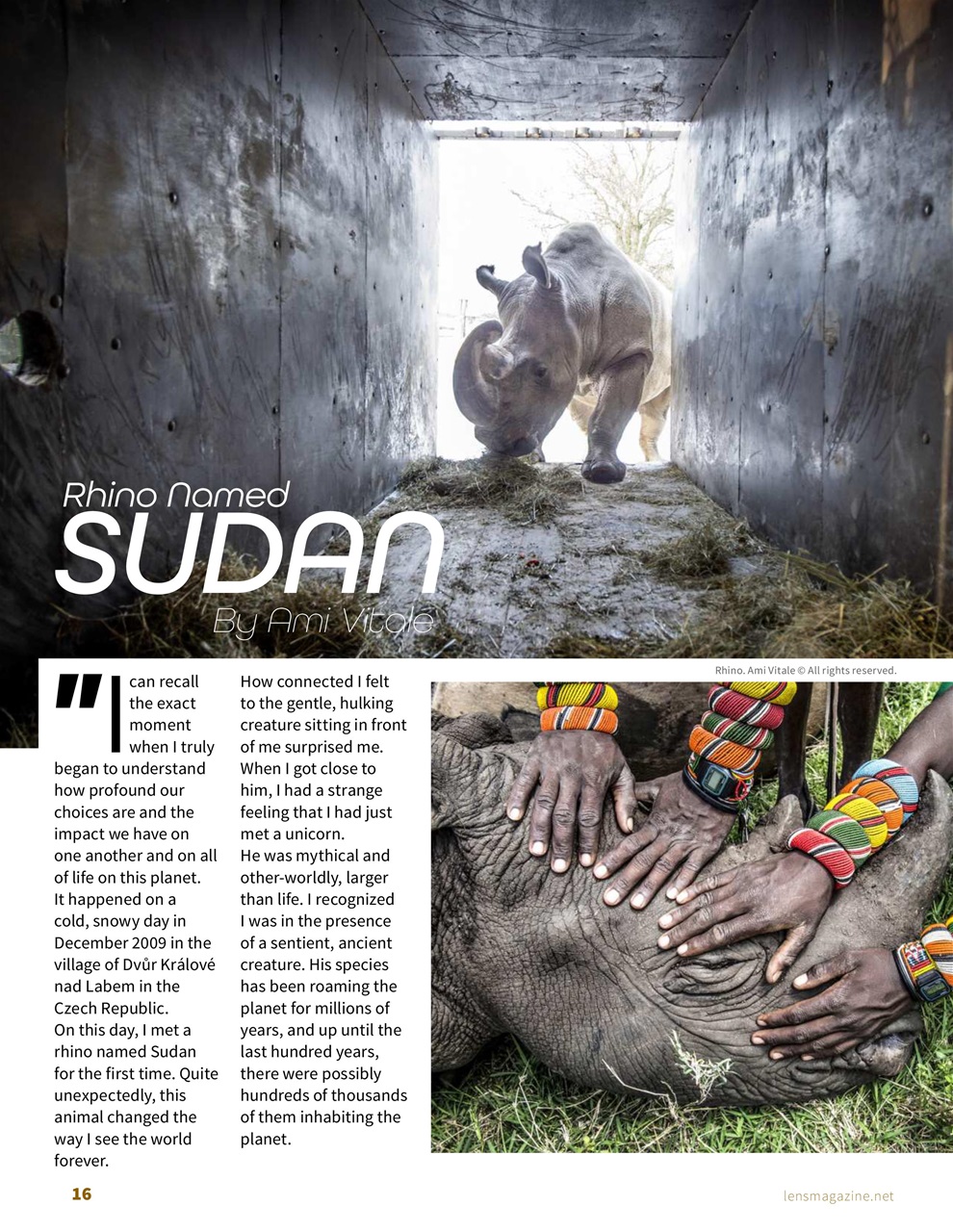 Lens Magazine Preview Pages