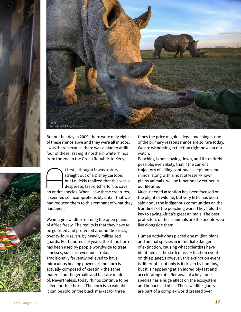 Lens Magazine Preview Pages