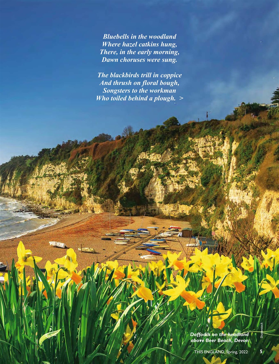 This England Preview Pages