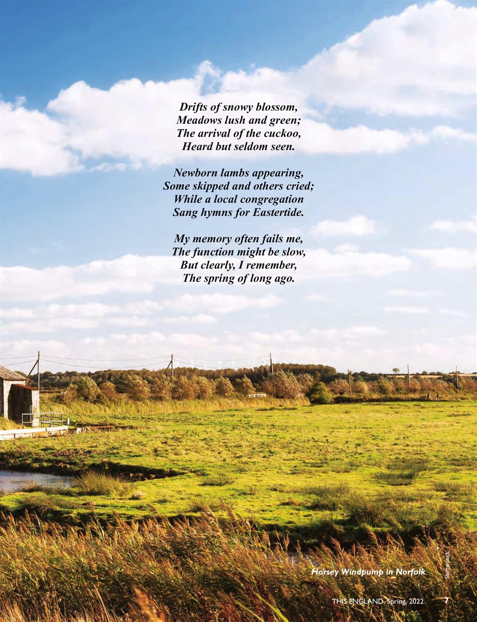 This England Preview Pages