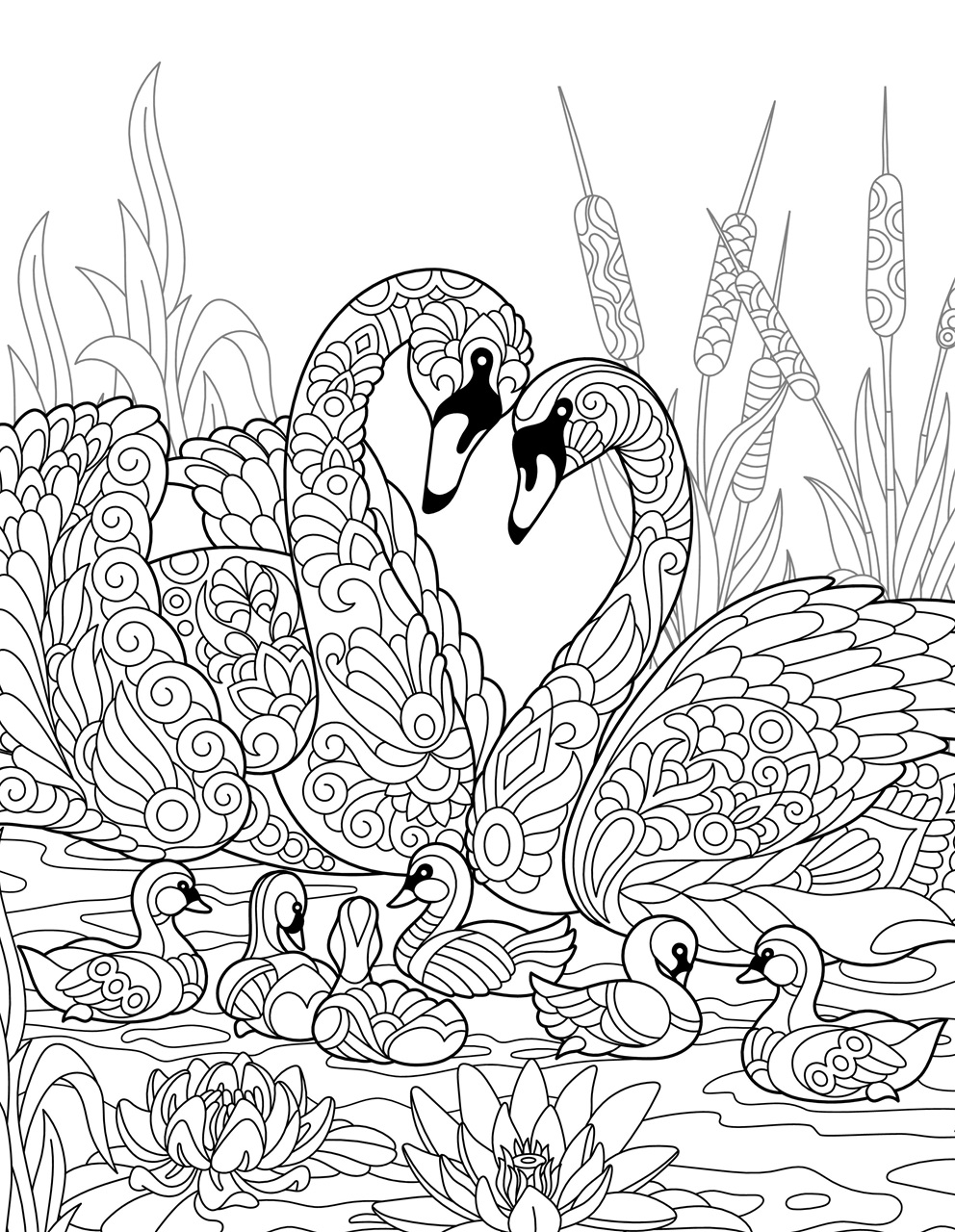 Creative Bookazine Preview Pages