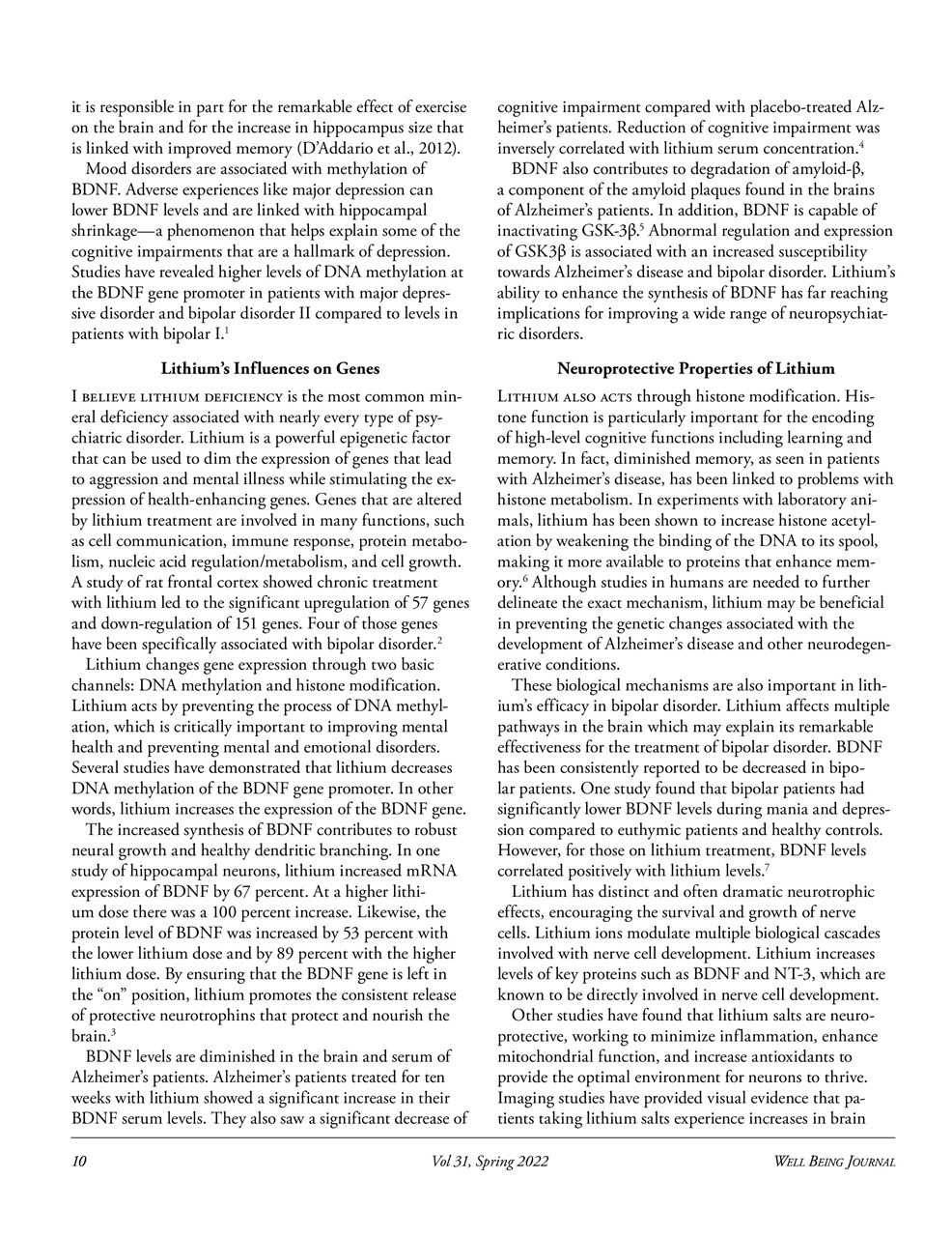 Well Being Journal Preview Pages