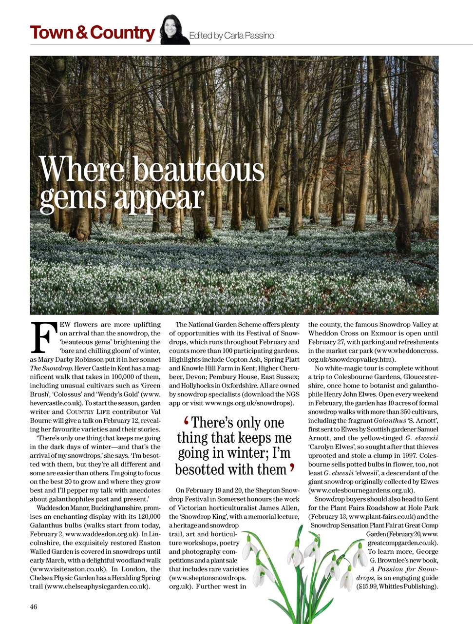 Country Life Preview Pages