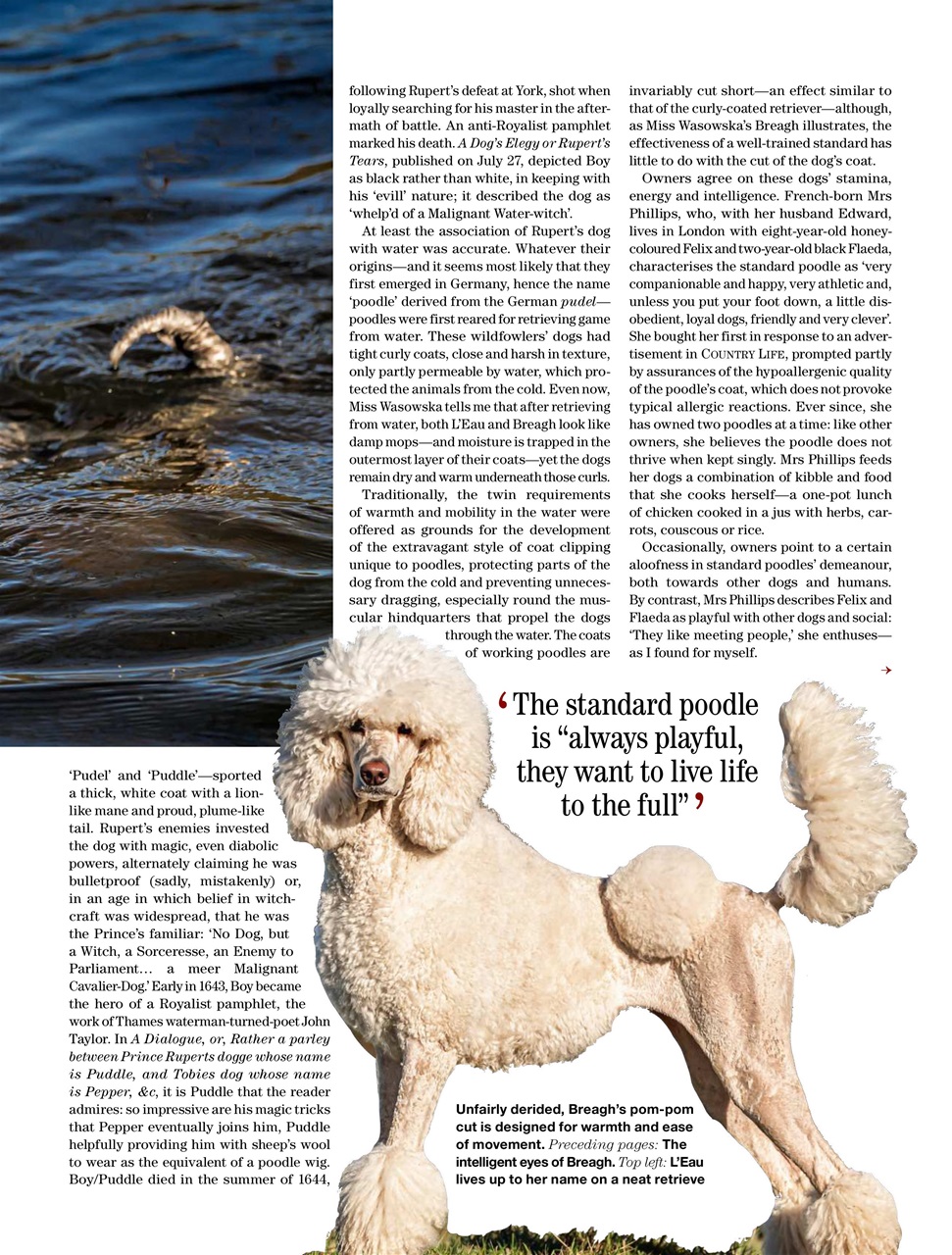 Country Life Preview Pages