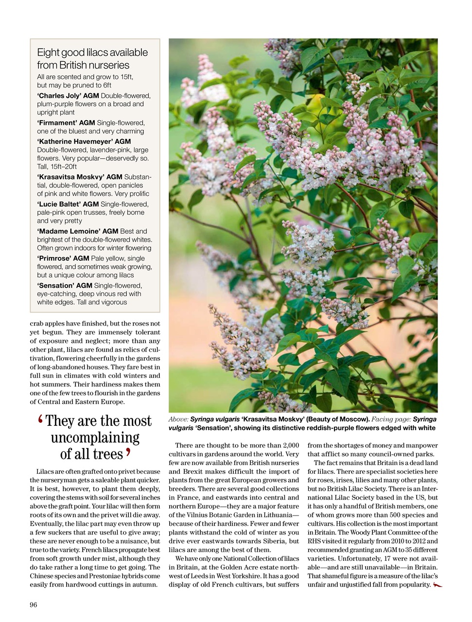 Country Life Preview Pages