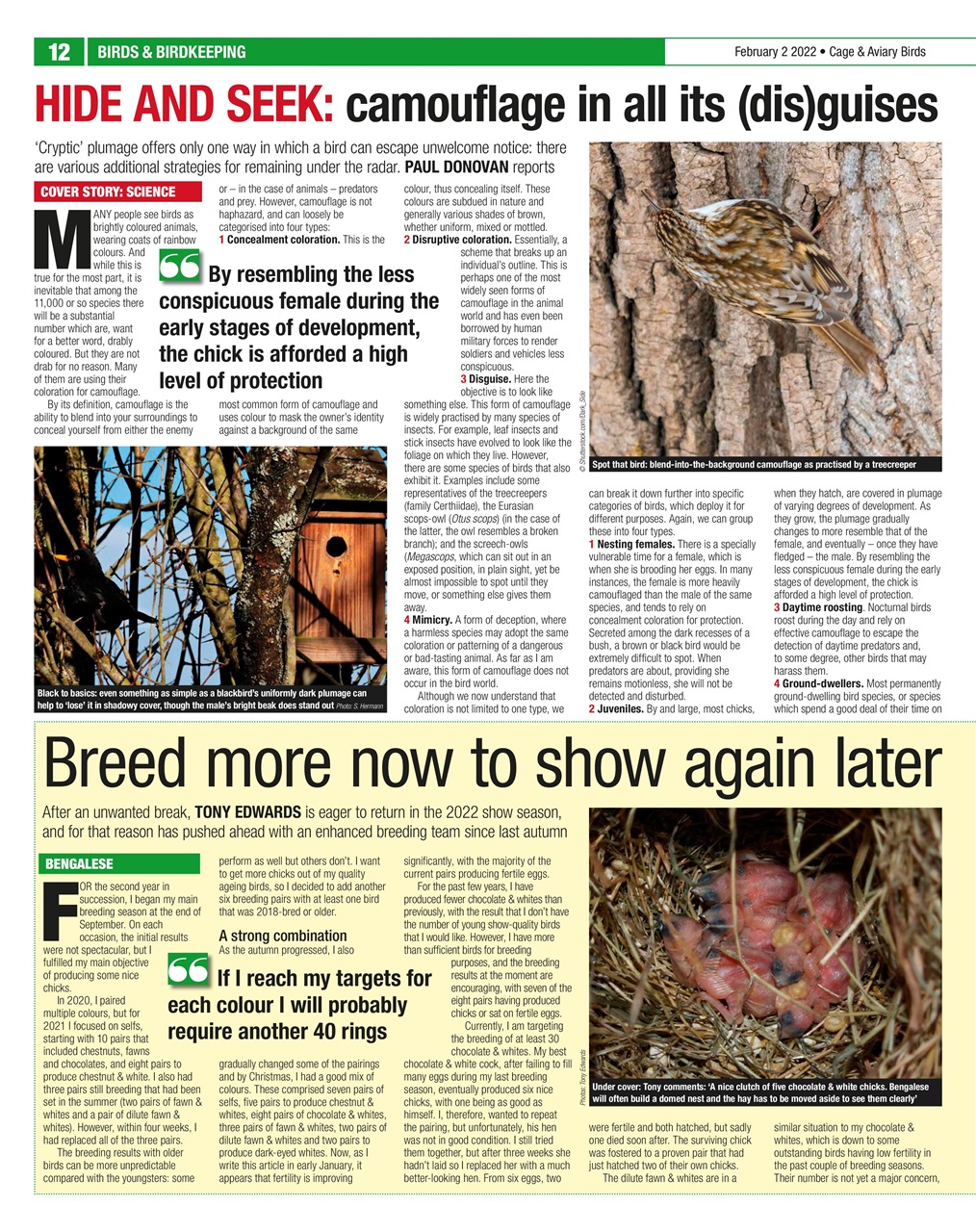 Cage & Aviary Birds Preview Pages