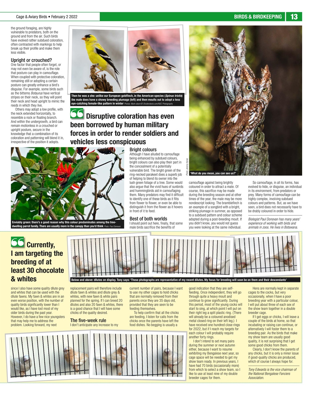 Cage & Aviary Birds Preview Pages