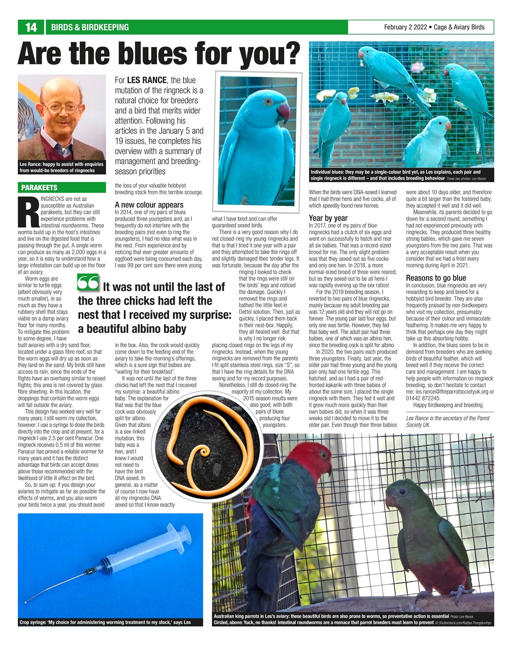 Cage & Aviary Birds Preview Pages