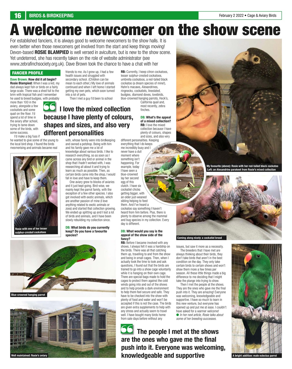 Cage & Aviary Birds Preview Pages