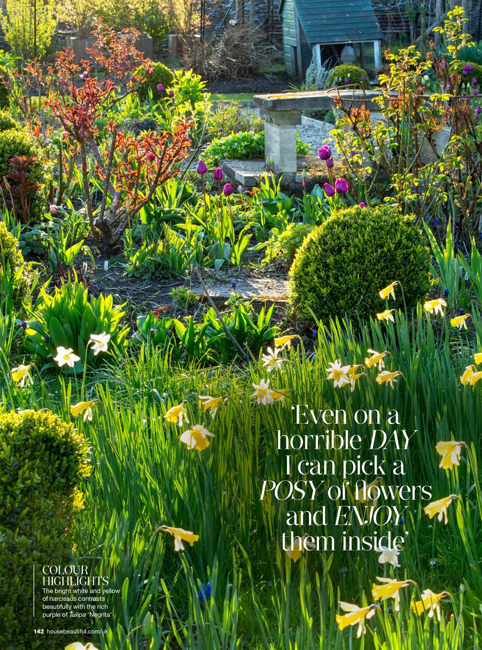 House Beautiful Preview Pages