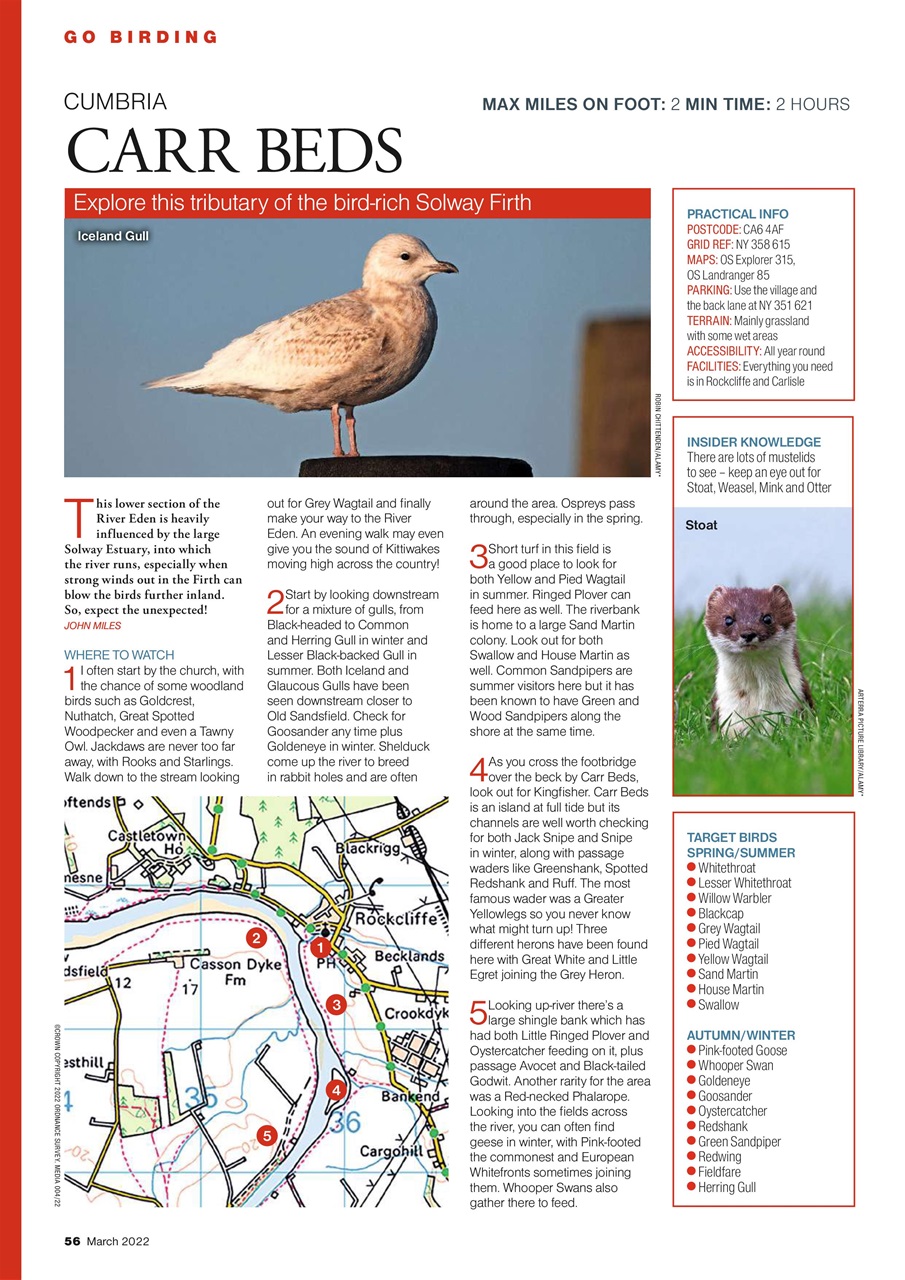 Bird Watching Preview Pages