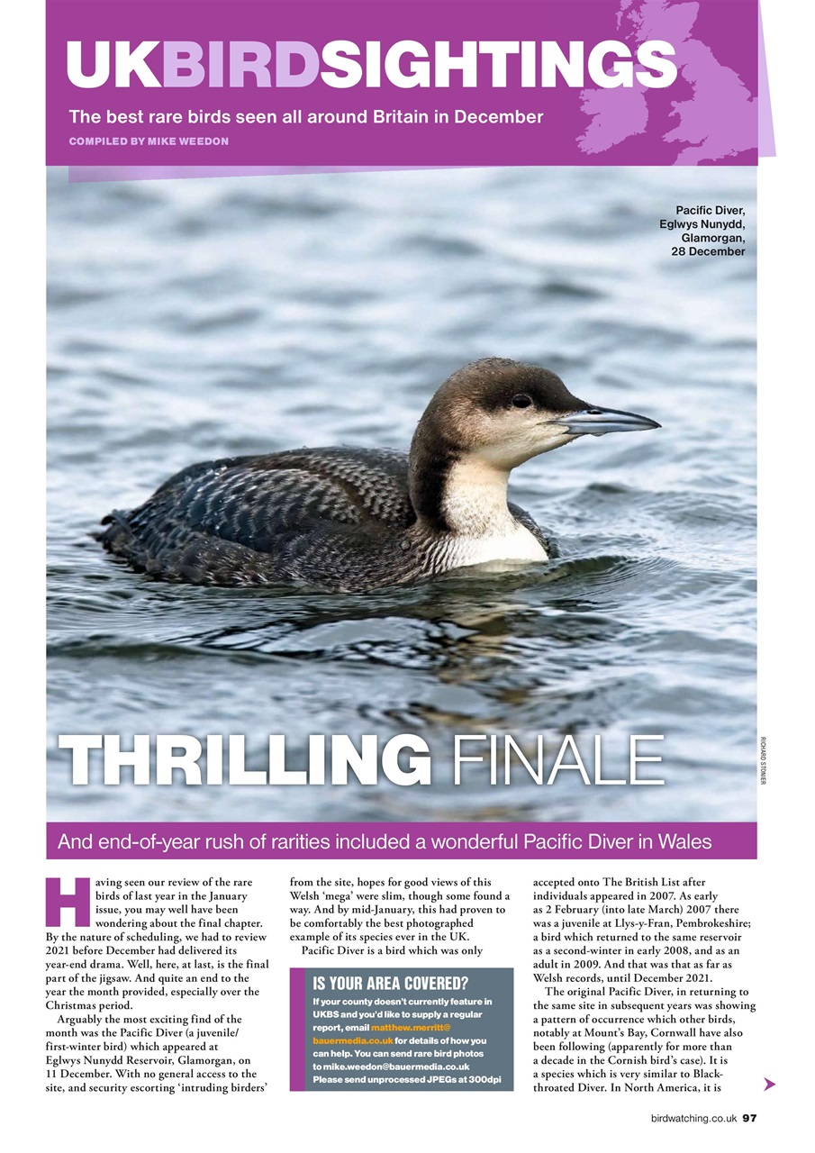 Bird Watching Preview Pages