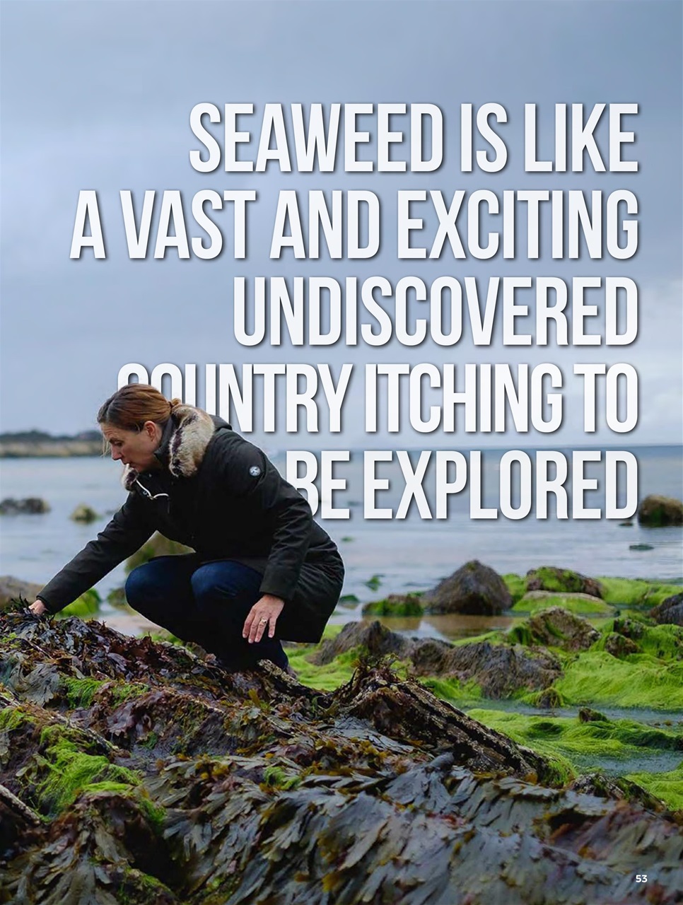 Chef & Restaurant Magazine Preview Pages