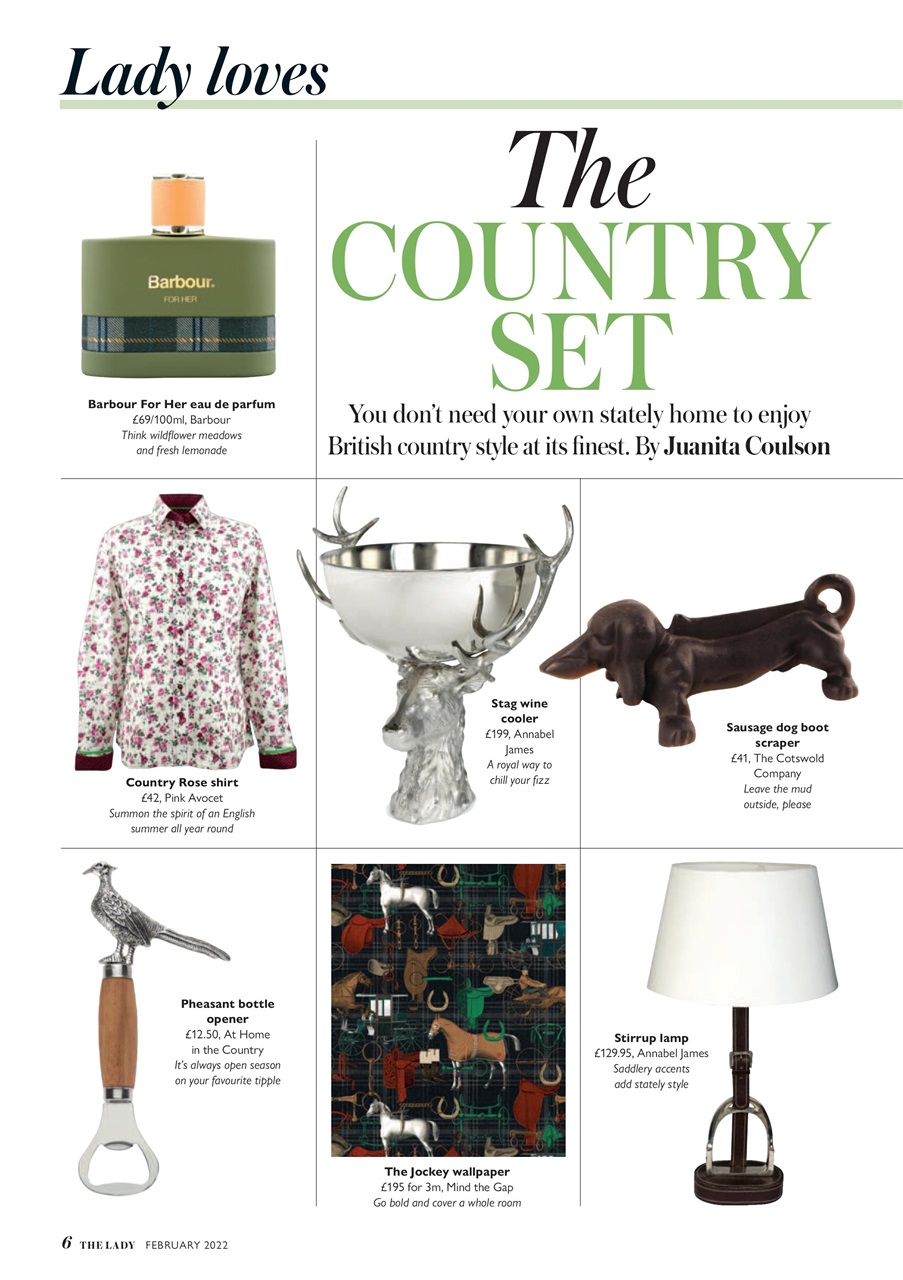 The Lady Preview Pages