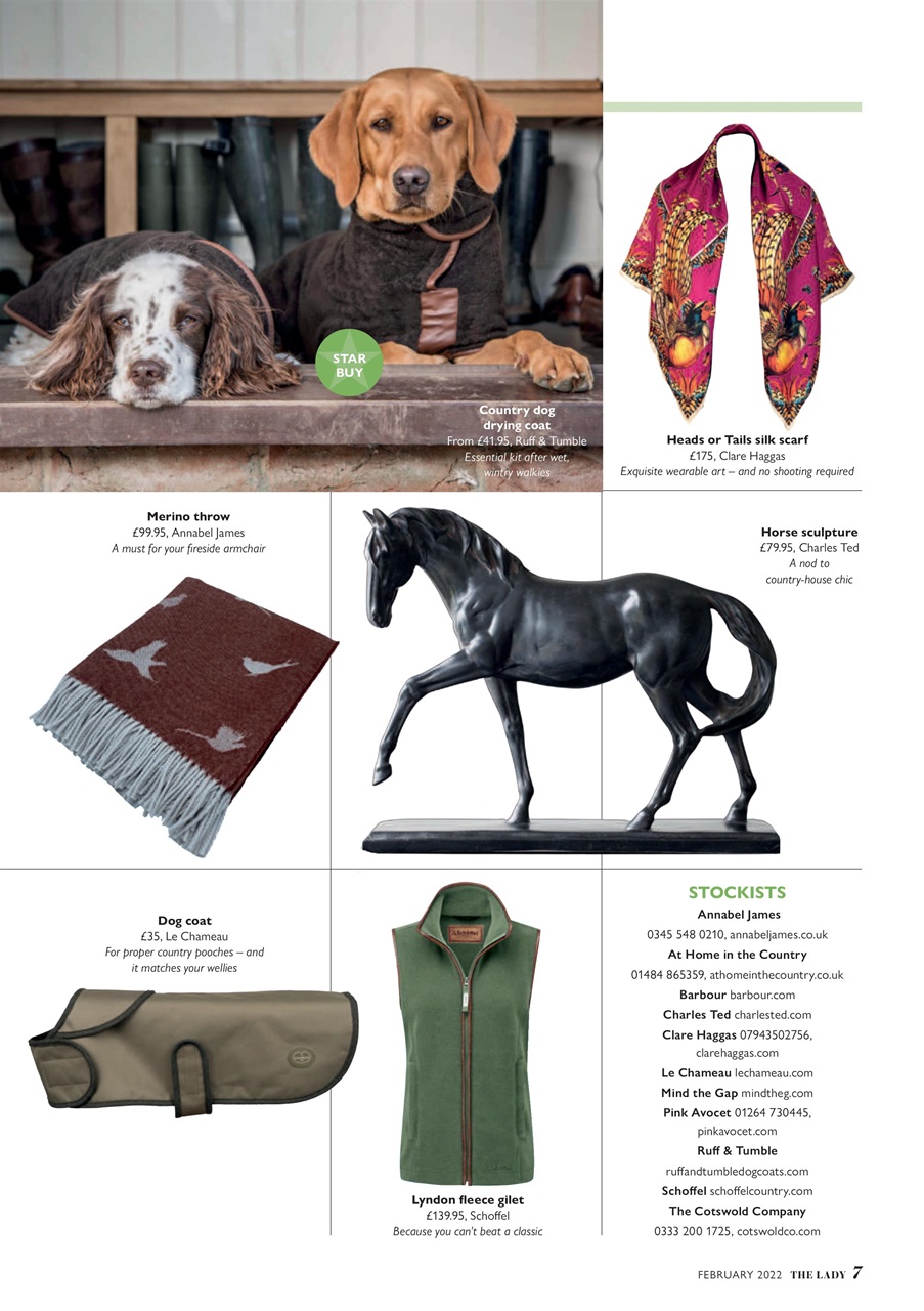 The Lady Preview Pages