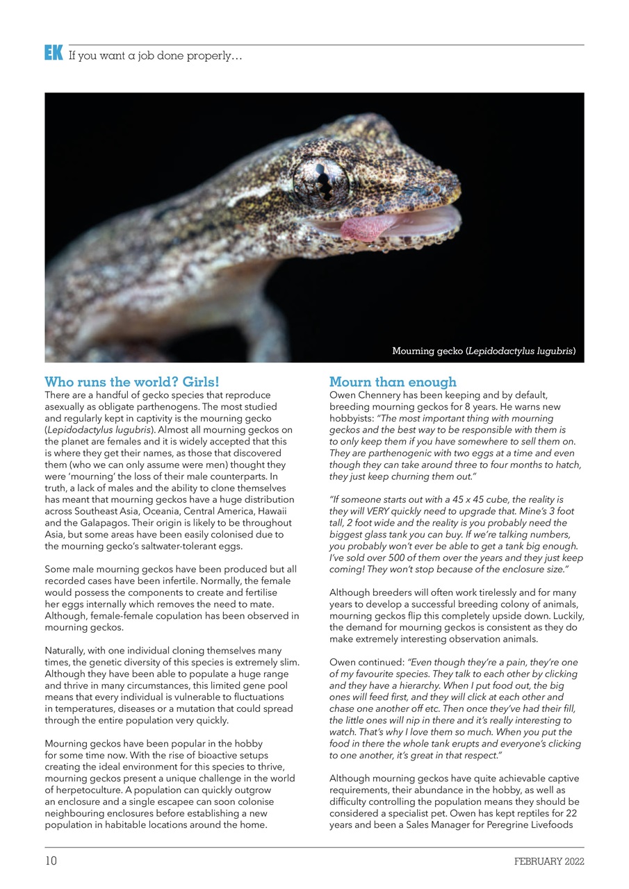 Exotics Keeper Preview Pages