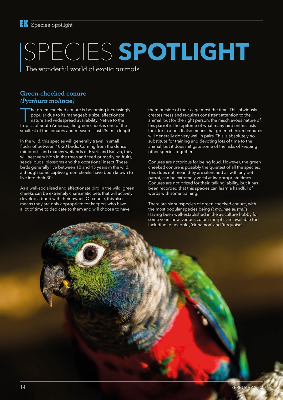 Exotics Keeper Preview Pages