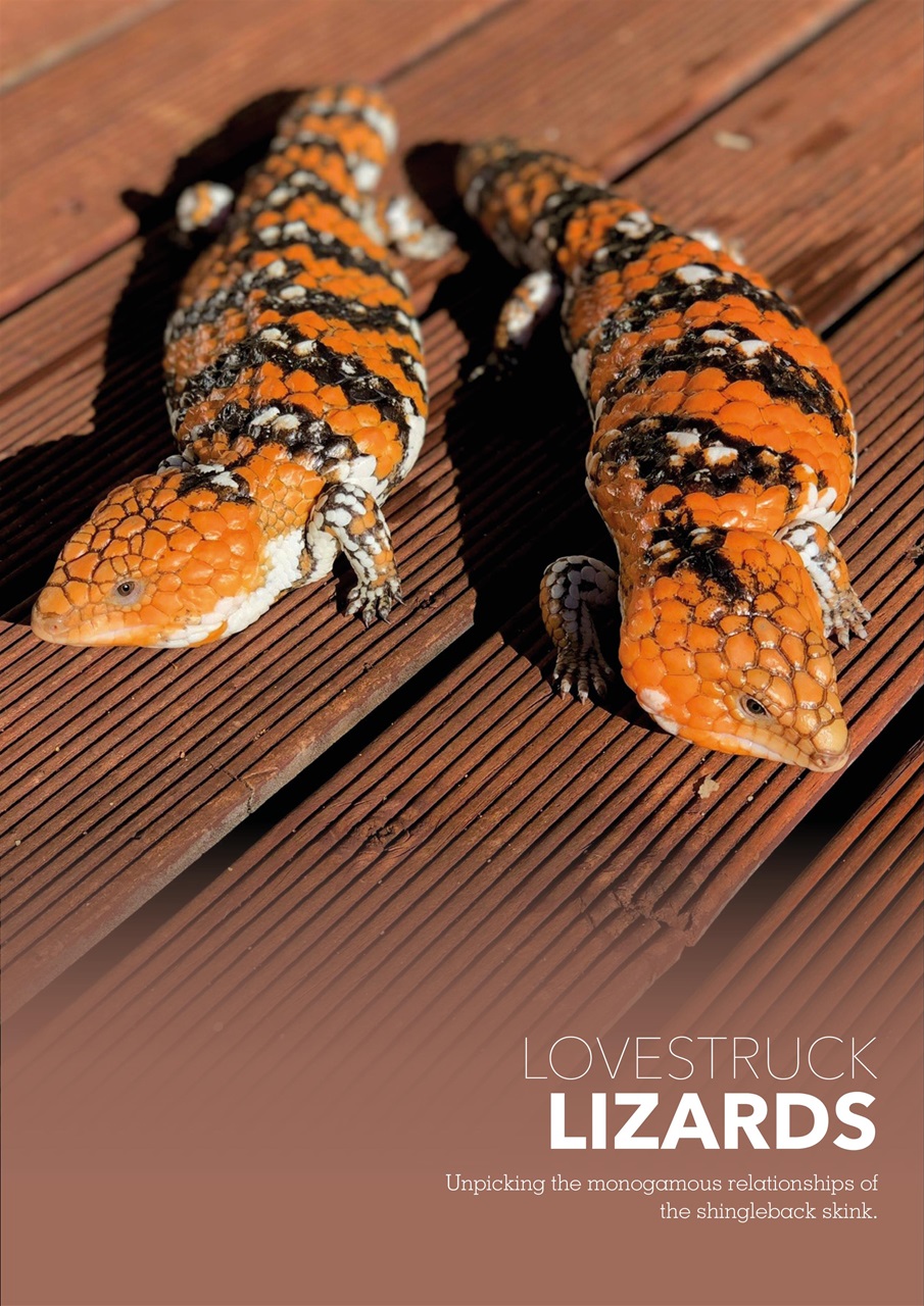 Exotics Keeper Preview Pages