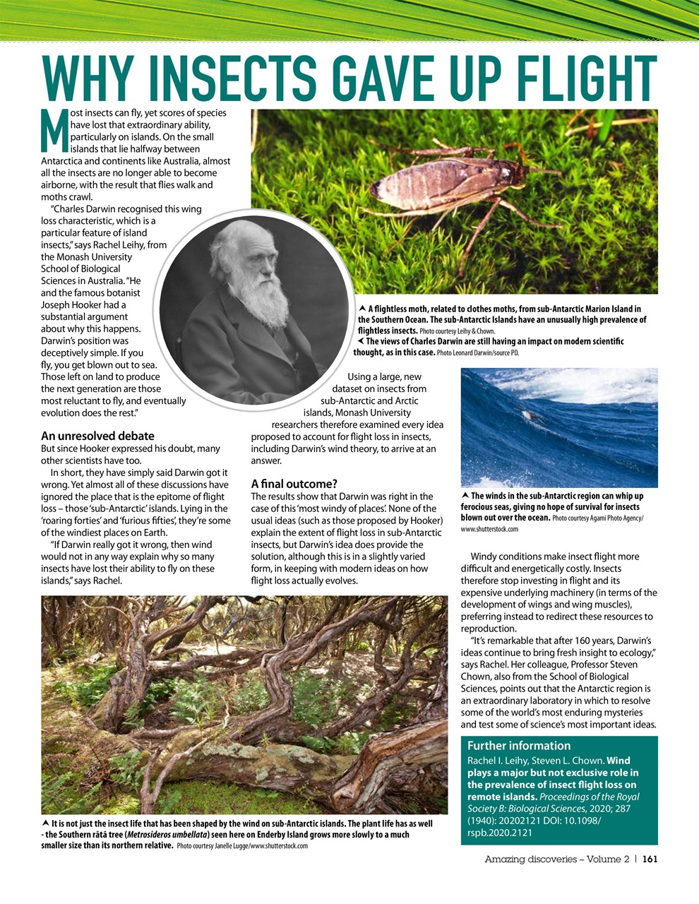 Practical Reptile Keeping Preview Pages