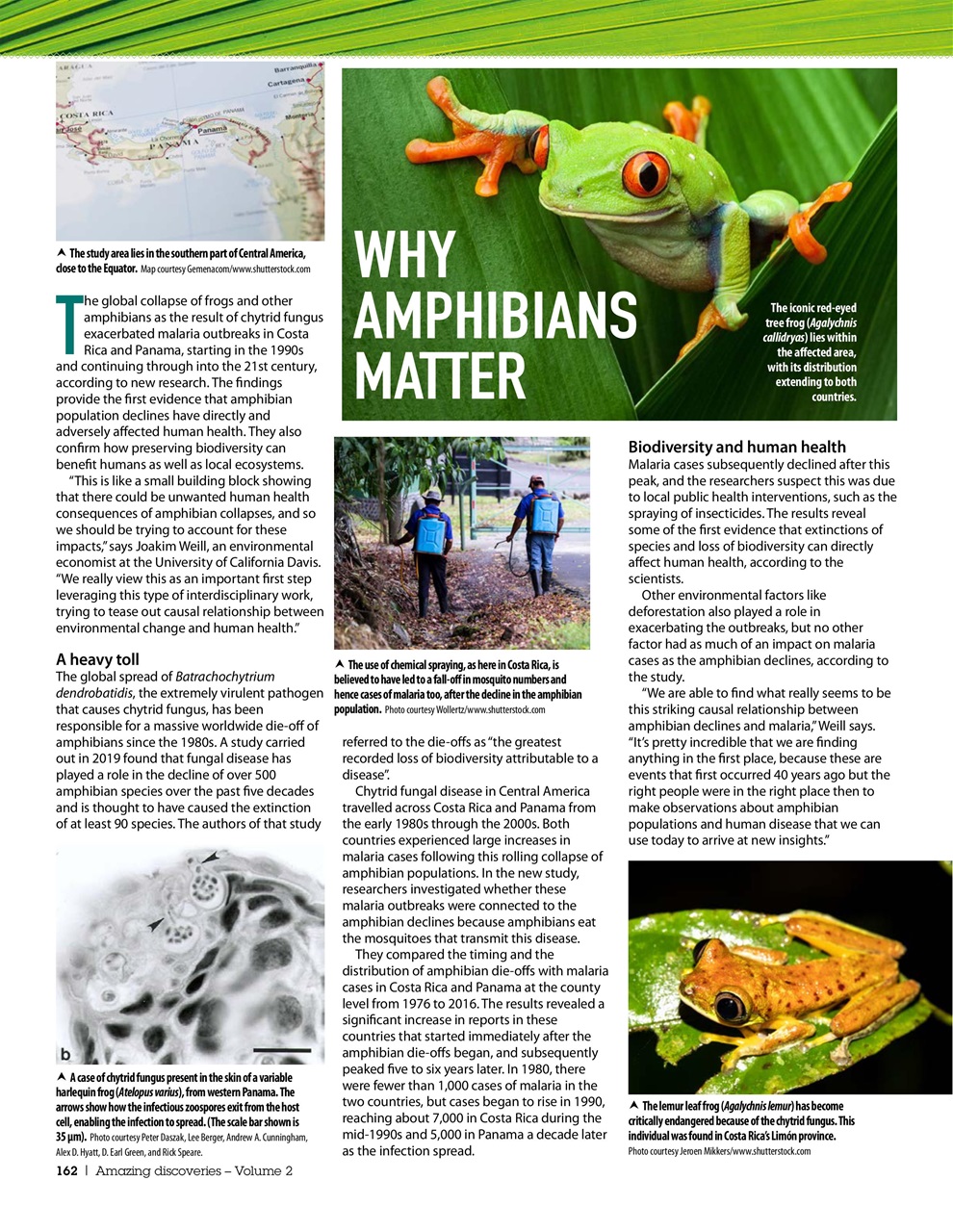 Practical Reptile Keeping Preview Pages