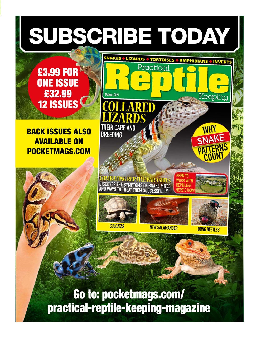 Practical Reptile Keeping Preview Pages
