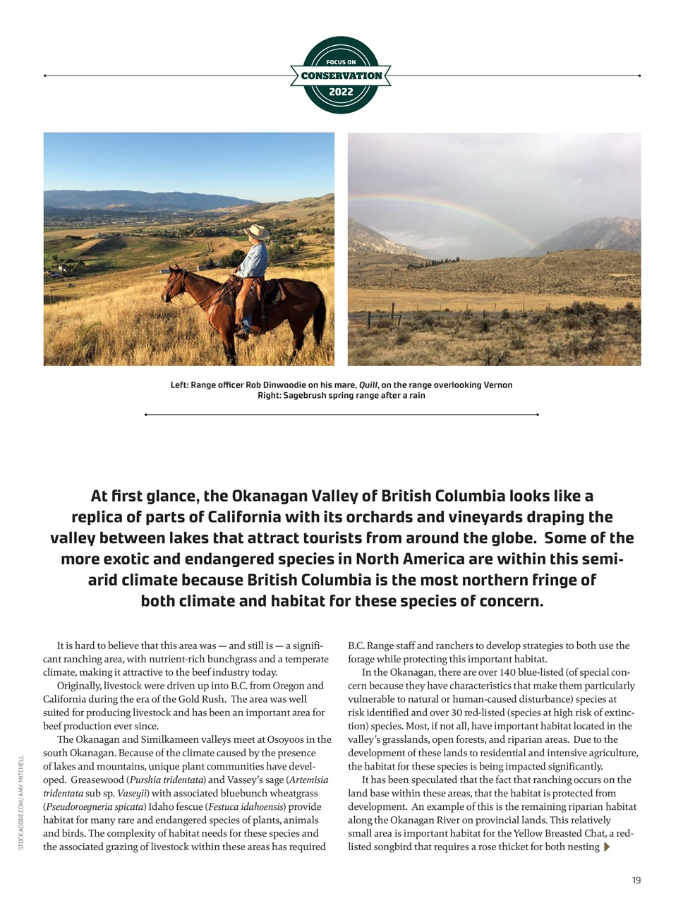 Canadian Cowboy Country Preview Pages