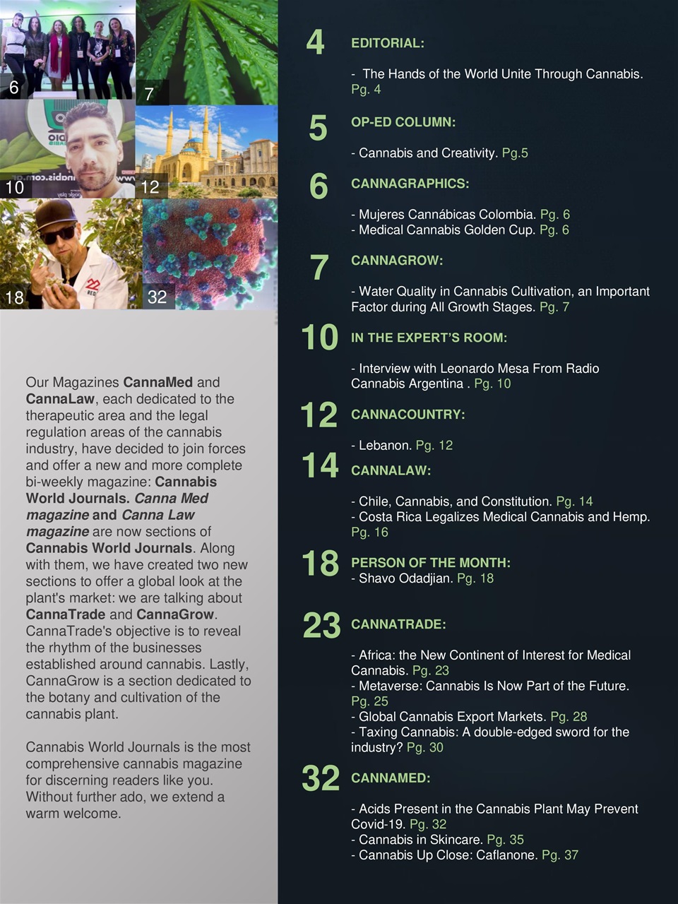 Cannabis World Journals Preview Pages