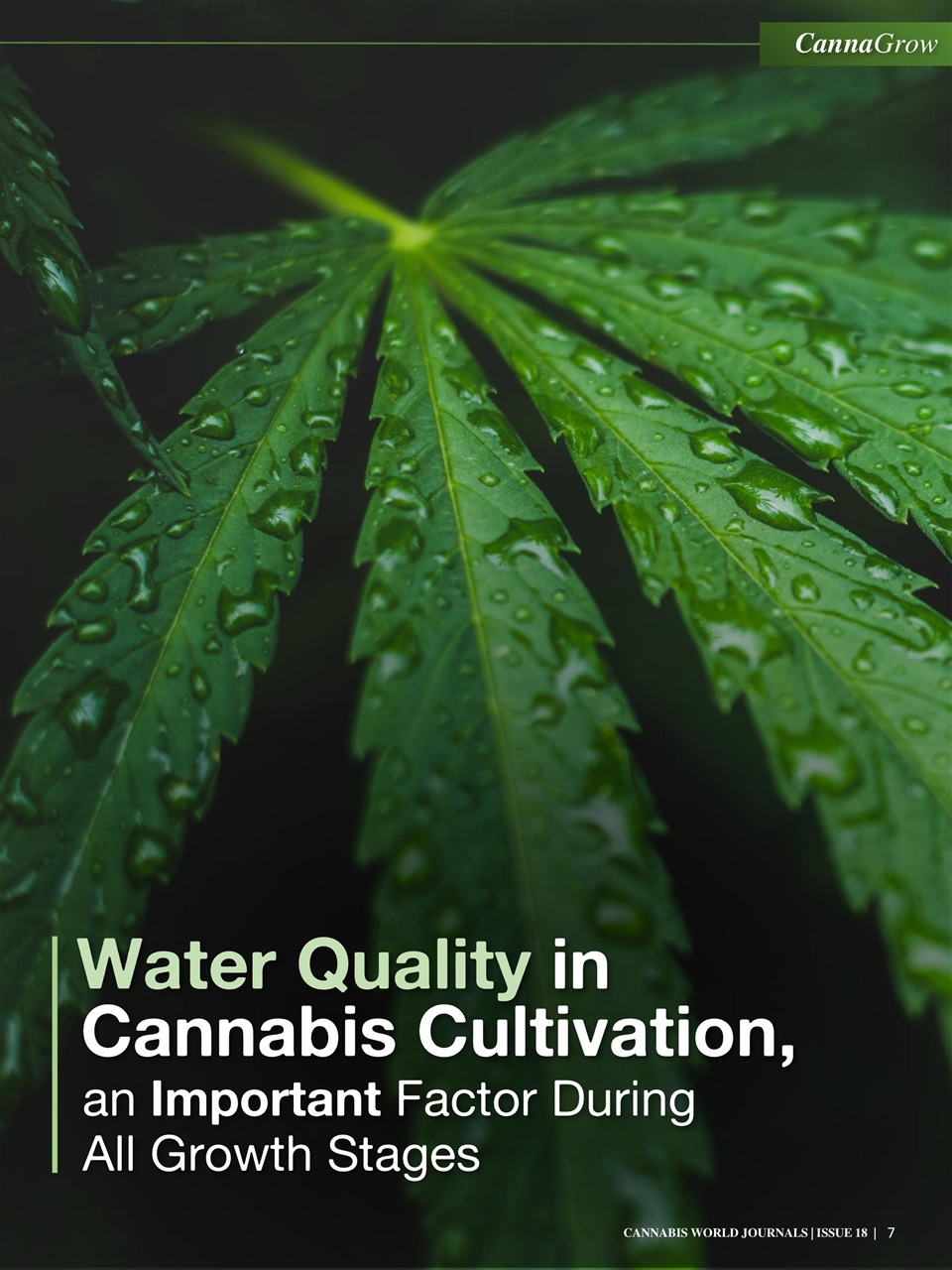 Cannabis World Journals Preview Pages