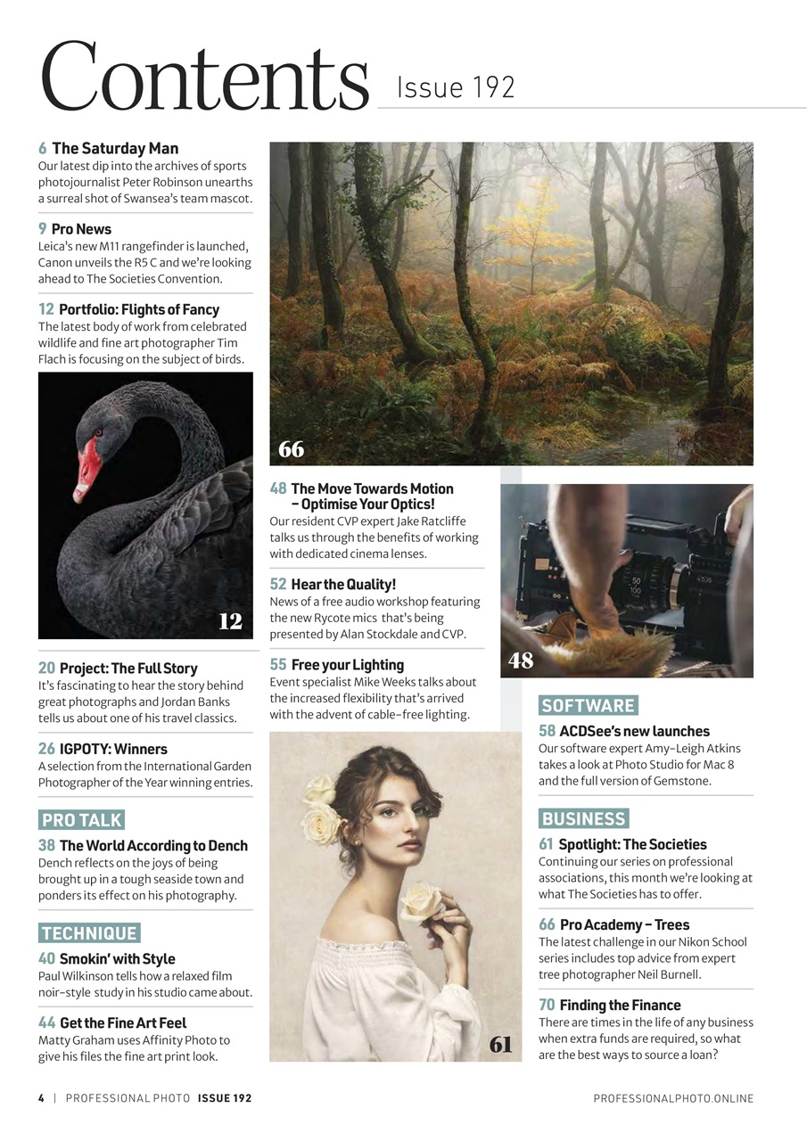 Professional Photo Preview Pages