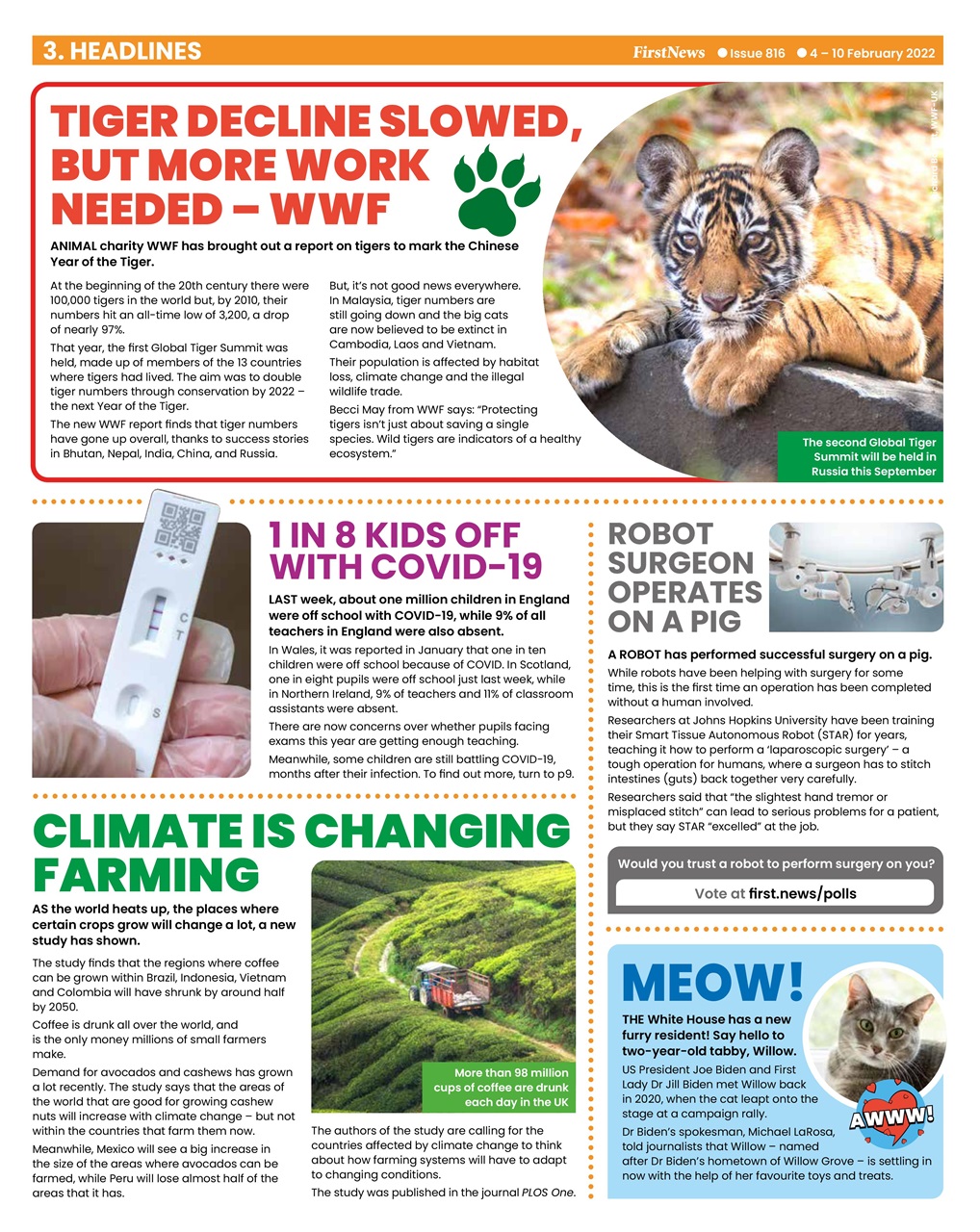 First News Preview Pages