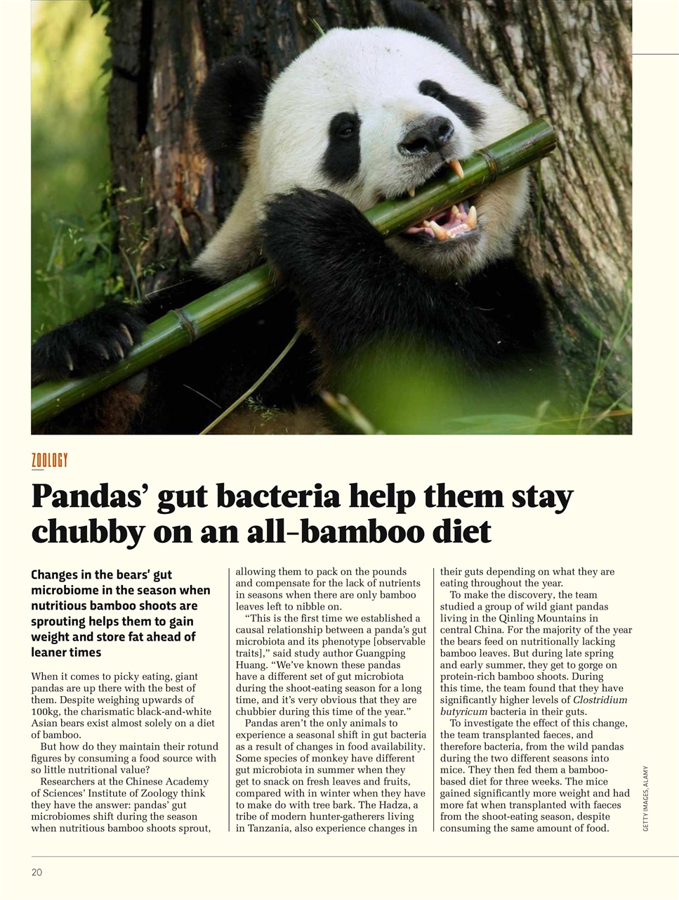 BBC Science Focus Magazine Preview Pages