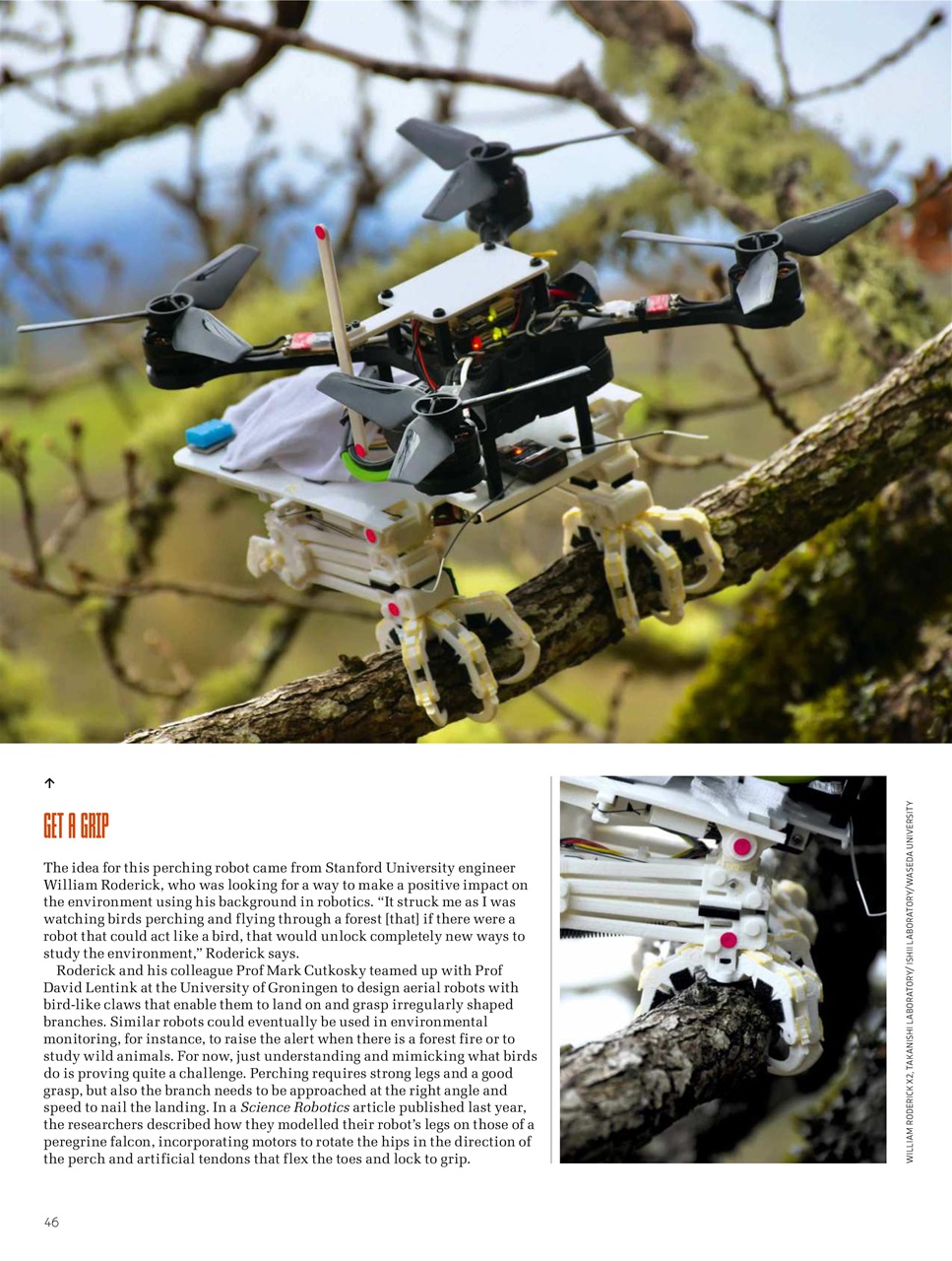 BBC Science Focus Magazine Preview Pages