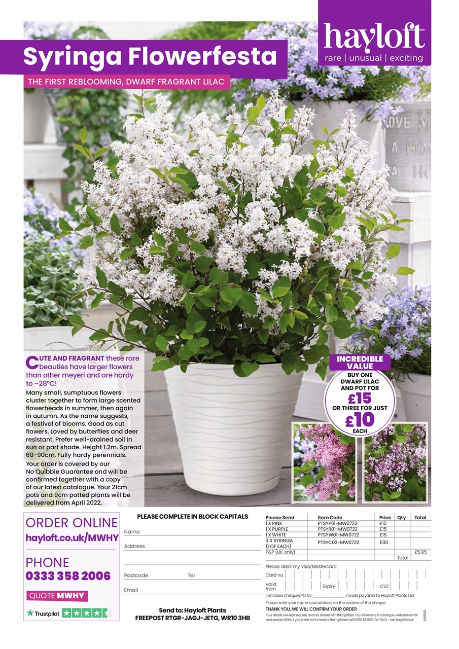 My Weekly Special Preview Pages