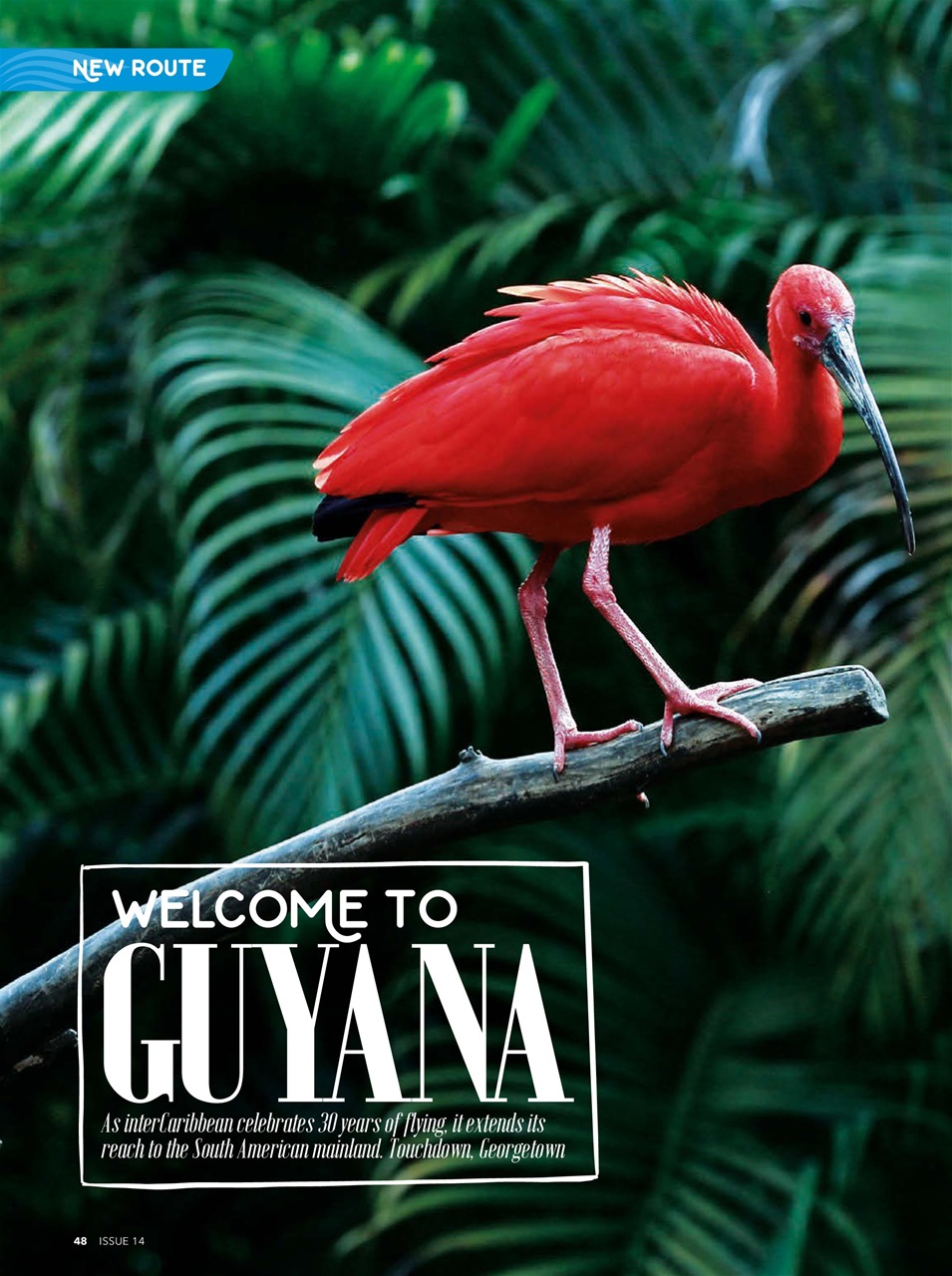 CACIQUE Preview Pages